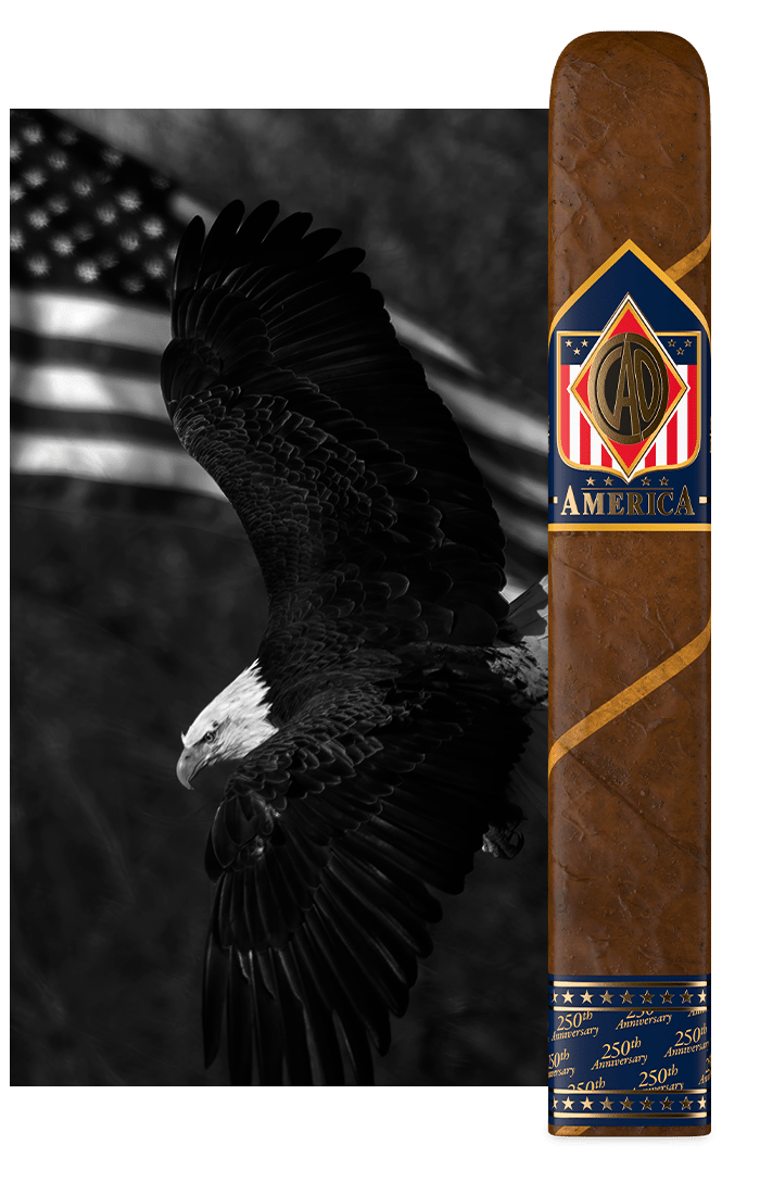 CAO America 250th Anniversary Stick Image