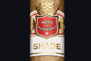 Hoyo de Monterrey Shade