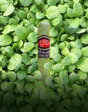 La Flor Dominicana Double Claro cigar with red LFD band on green leaves