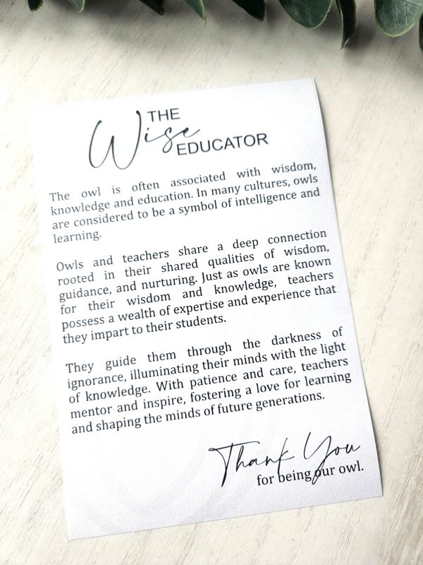 The Wise Educator Owl Ornament