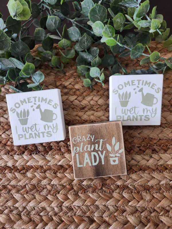 Mini Plant Theme Signs