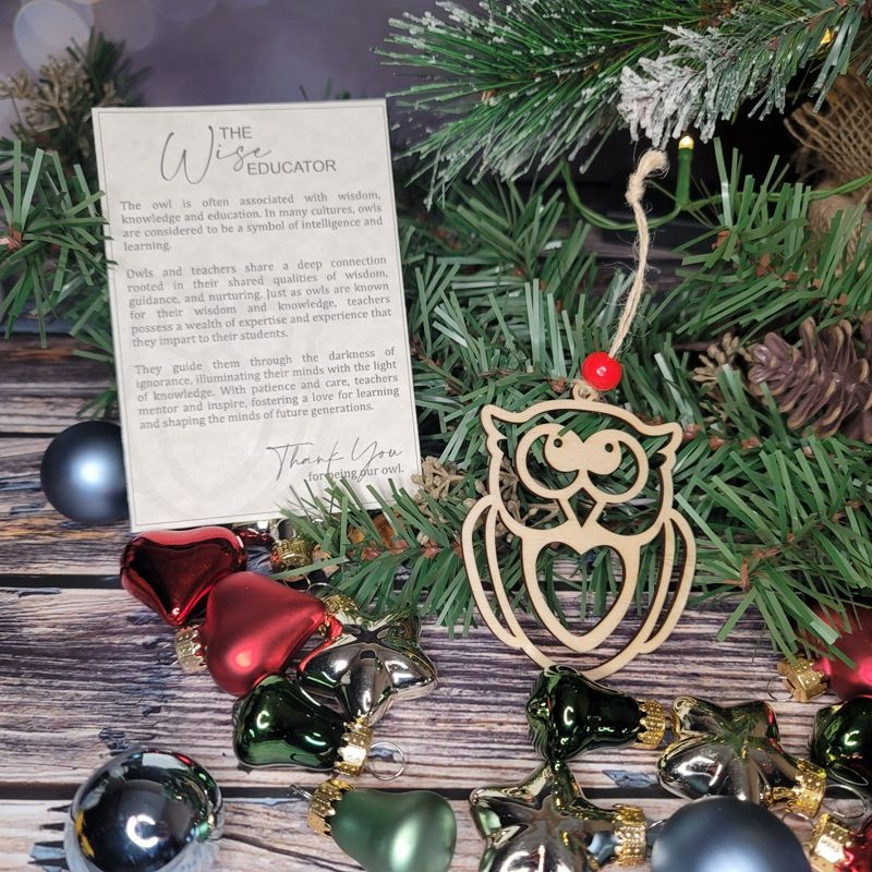 Owl Ornament, Wise Educator Teacher Ornament