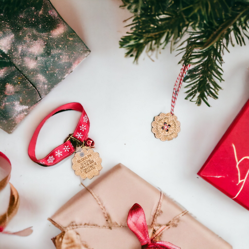 Santa's Lost Button and Rudolph's Lost Collar, the perfect additions to infuse your Christmas with magic and joy!