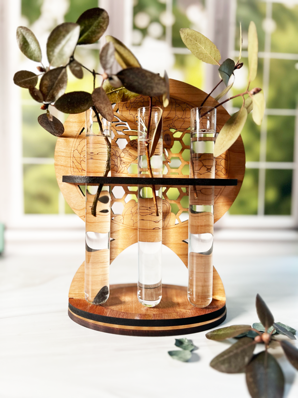 Bee & Honeycomb Propagation Station