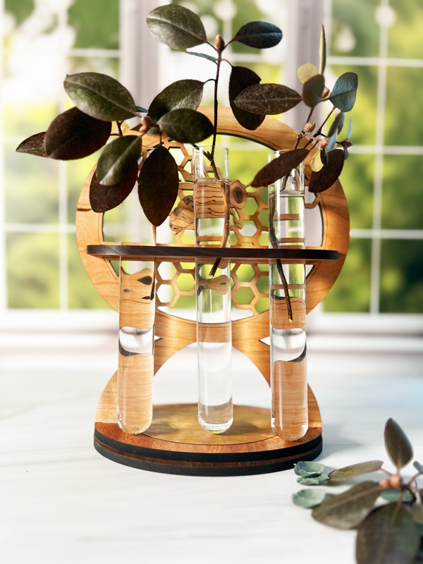 Bee & Honeycomb Propagation Station