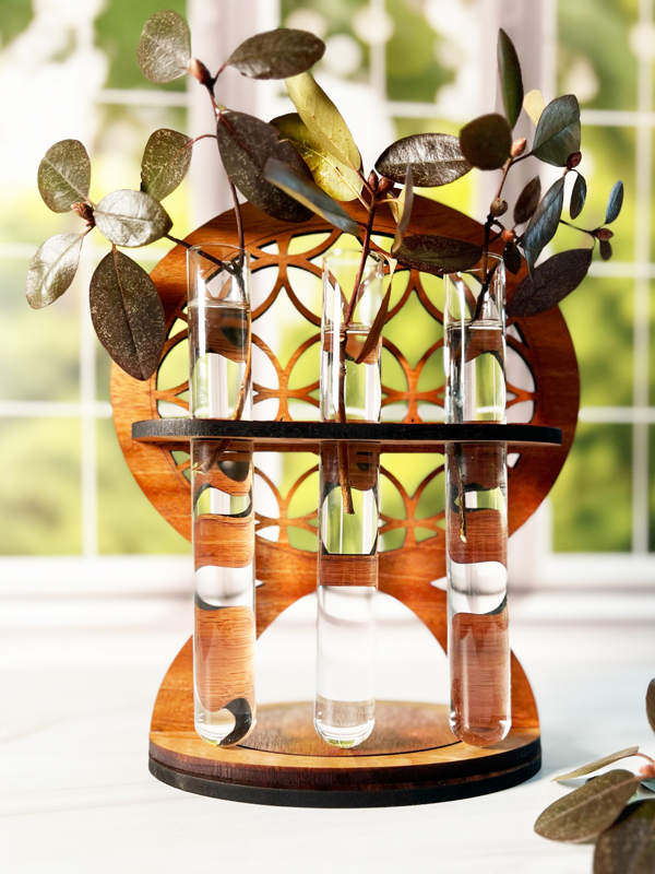 Interlocking Circles Propagation Station