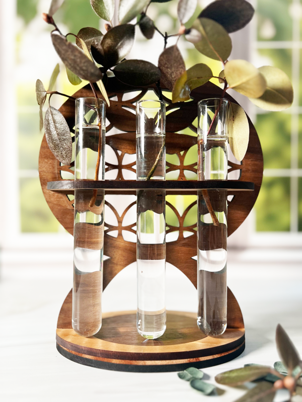 Dragonfly Propagation Station