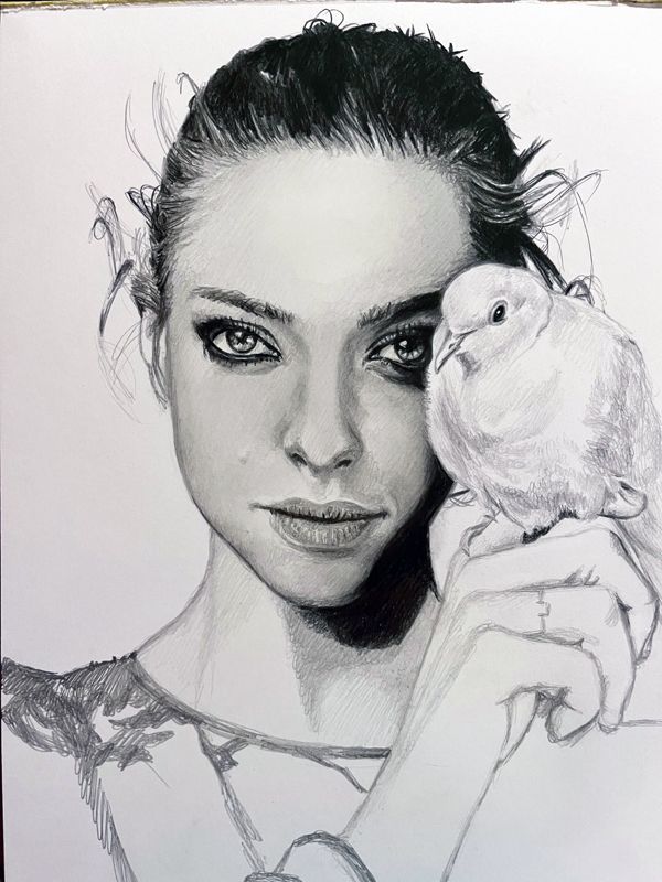 Amanda Seyfried Original Graphite Portrait Drawing (NOT a print) 9x12