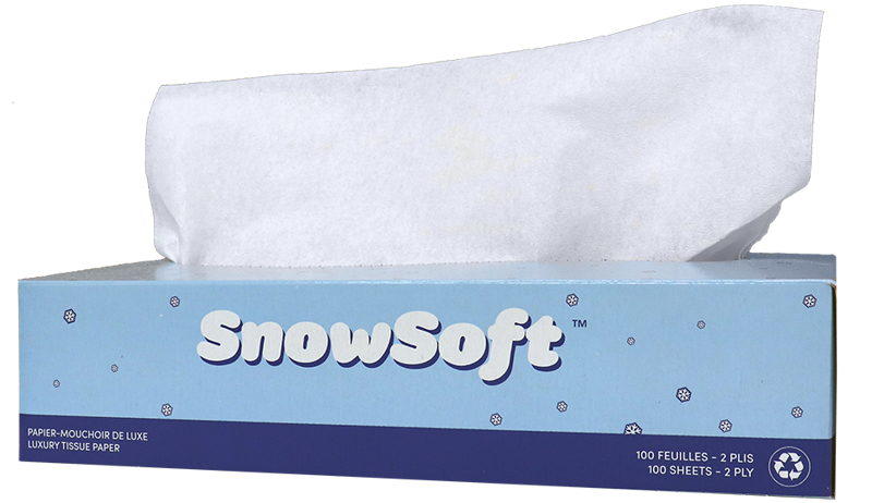 30/100 2 Ply Facial Tissue 10051497237261
