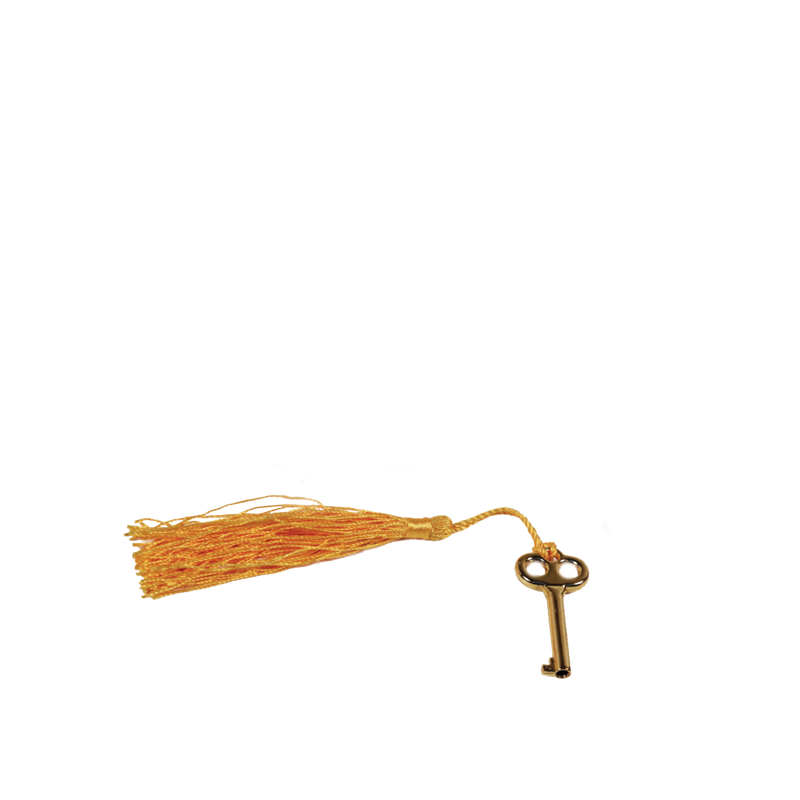 QUALITY IMPORTERS YELLOW TASSEL KEY Silver