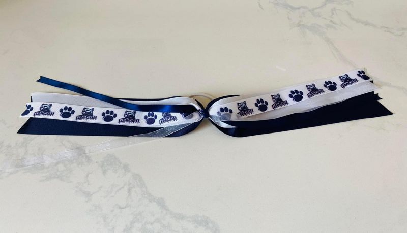 Penn State Pony Bow