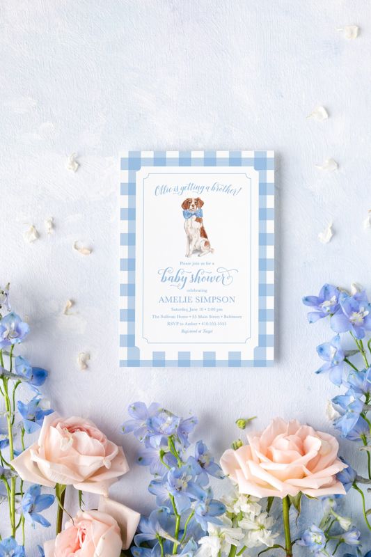 Boy Baby Shower Invitations with dog - Brittany Spaniel (10 printed invitations | Plain White Envelopes)