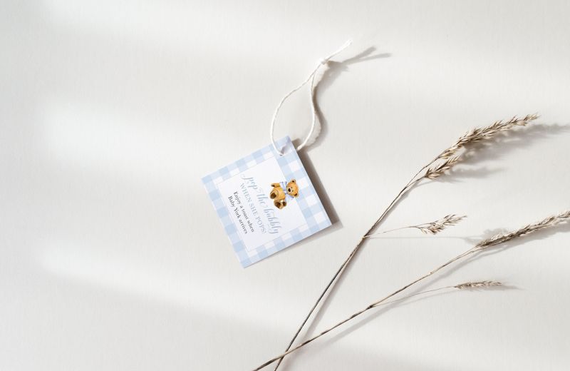 Blue Gingham Teddy Bear Baby Shower Favor Tags (20 printed notes)