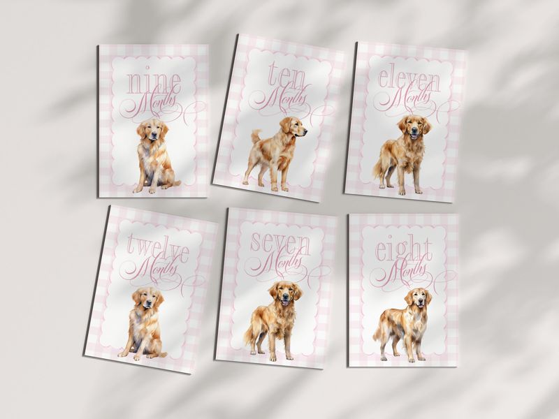 Girl Milestone Cards Printable with Golden Retrievers - Baby Shower Gift - Baby Month Cards - Keepsake Memories - Classic Baby Girl Gingham
