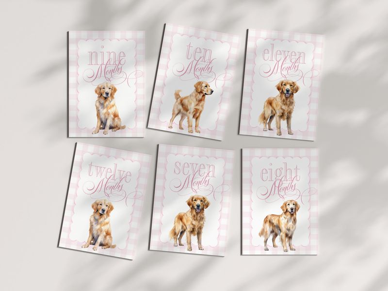 Girl Milestone Cards Printable with Golden Retrievers - Baby Shower Gift - Baby Month Cards - Keepsake Memories - Classic Baby Girl Gingham
