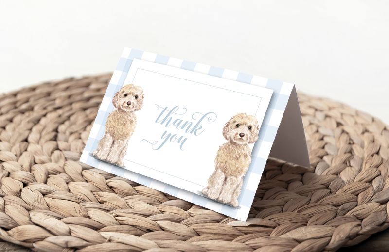 Golden Doodle Thank You Notes - Blue Gingham Cards - Baby Shower Thank You Notes - Dog Cards - Printed Cardsr (20 printed notes)