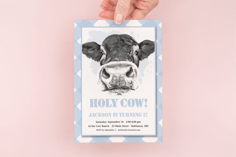 Holy Cow 1st Birthday Invitations - Moo Moo - Boy Farm Invites - Boy Birthday Party - Blue Cow First Birthday (10 printed invitations | Plain White Envelopes)