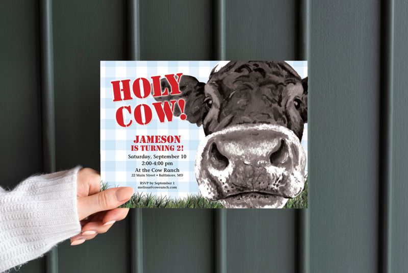 Holy Cow - Blue Gingham Boy First Birthday Party Invitation (10 printed invitations | Plain White Envelopes)