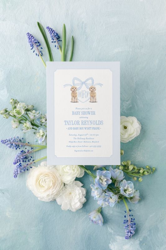 Golden Doodle Baby Boy Shower Invitations Boy Baby Sprinkle Blue Monogram Bow Classic Blue and White Traditional Boy Birthday Party Invite (10 printed invitations, Plain White Envelopes)