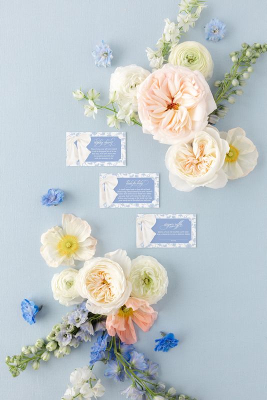 Baby Boy Shower Insert Cards Blue Toile Chinoiserie - Diaper Raffle or Display Shower or Books for Baby Printed - Baby Boy Sprinkle 1 (20 printed cards | Books for Baby)