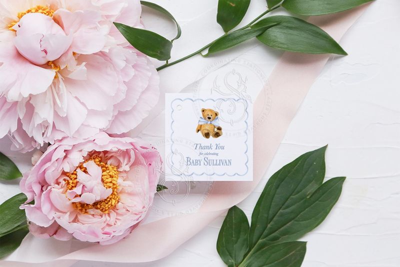 Boy Teddy Bear Baby Shower Favor Tags - Blue Toile Chinoiserie Baby Boy Sprinkle Printed Favor tag (20 printed notes)