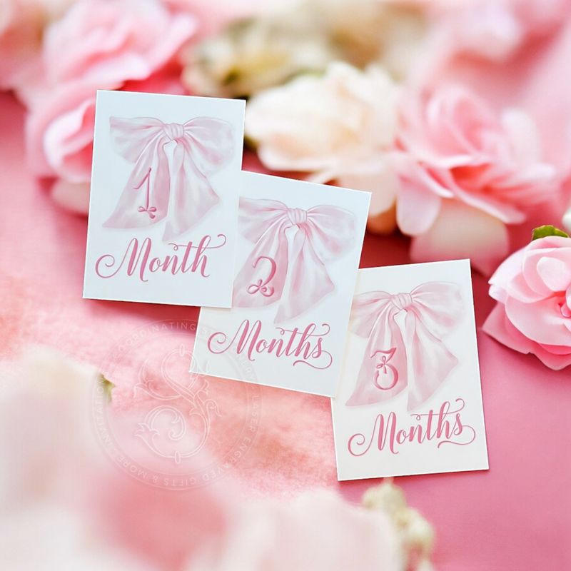 Baby Girl Milestone Cards Printed - Baby Gift - New Mom - Baby Shower Gift Ideas - Baby Month Cards - Keepsake Memories - Fancy Pink Bow