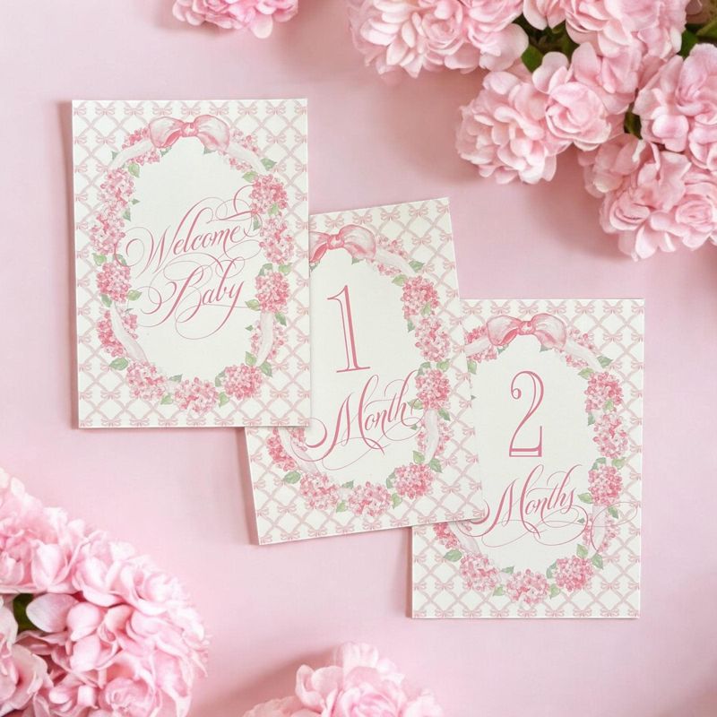 Baby Girl Milestone Cards Pink Bow Baby Gift New Mom Gift Idea Baby Shower Baby Month Cards Keepsake Memories Classic Pink and White Printed