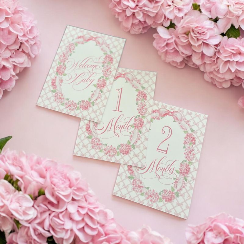 Baby Girl Milestone Cards Pink Bow Baby Gift New Mom Gift Idea Baby Shower Baby Month Cards Keepsake Memories Classic Pink and White Printed