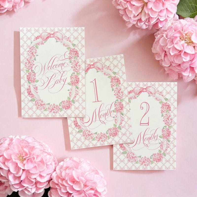 Baby Girl Milestone Cards Pink Bow Baby Gift New Mom Gift Idea Baby Shower Baby Month Cards Keepsake Memories Classic Pink and White Printed