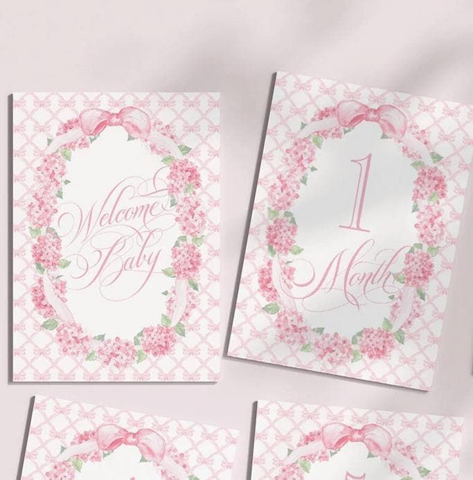 Baby Girl Milestone Cards Pink Bow Baby Gift New Mom Gift Idea Baby Shower Baby Month Cards Keepsake Memories Classic Pink and White Printed