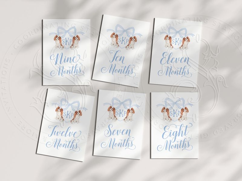 Baby Boy Milestone Cards Printed - Baby Gift - New Mom - Baby Shower Gift Ideas - Baby Month Cards Keepsake Memories - Labrador Retriever (Black Labrador)