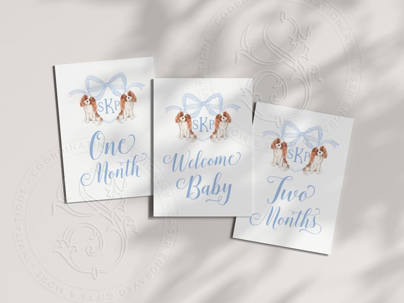 Baby Boy Milestone Cards Printed - Baby Gift - New Mom - Baby Shower Gift Ideas - Baby Month Cards Keepsake Memories - Labrador Retriever (Black Labrador)