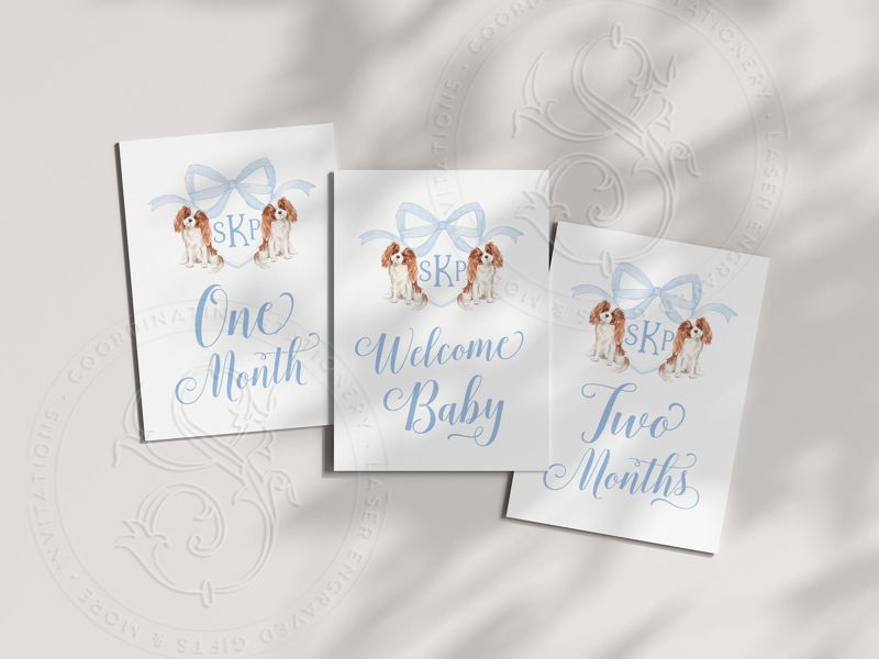 Baby Boy Milestone Cards Printed - Baby Gift - New Mom - Baby Shower Gift Ideas - Baby Month Cards Keepsake Memories - Labrador Retriever (Black Labrador)