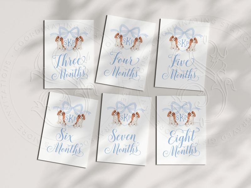 Baby Boy Milestone Cards Printed - Baby Gift - New Mom - Baby Shower Gift Ideas - Baby Month Cards Keepsake Memories - Labrador Retriever (Black Labrador)