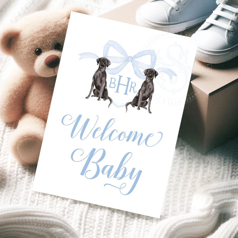 Baby Boy Milestone Cards Printed - Baby Gift - New Mom - Baby Shower Gift Ideas - Baby Month Cards Keepsake Memories - Labrador Retriever (Black Labrador)
