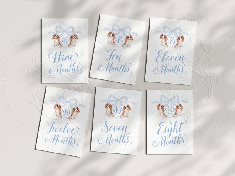 Baby Boy Milestone Cards Printed - Baby Gift - New Mom - Baby Shower Gift Ideas - Baby Monthly Cards Keepsake Memories - Labrador Retriever (Black Labrador | Blue)
