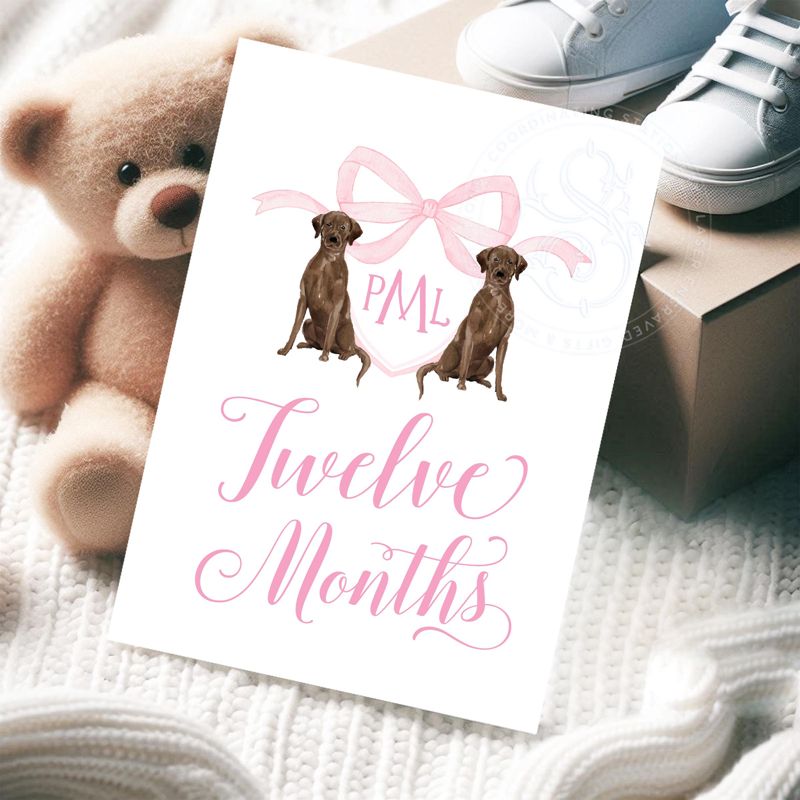 Baby Boy Milestone Cards Printed - Baby Gift - New Mom - Baby Shower Gift Ideas - Baby Monthly Cards Keepsake Memories - Labrador Retriever (Black Labrador | Blue)