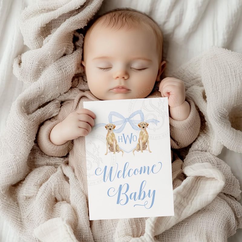 Baby Boy Milestone Cards Printed - Baby Gift - New Mom - Baby Shower Gift Ideas - Baby Monthly Cards Keepsake Memories - Labrador Retriever (Black Labrador | Blue)
