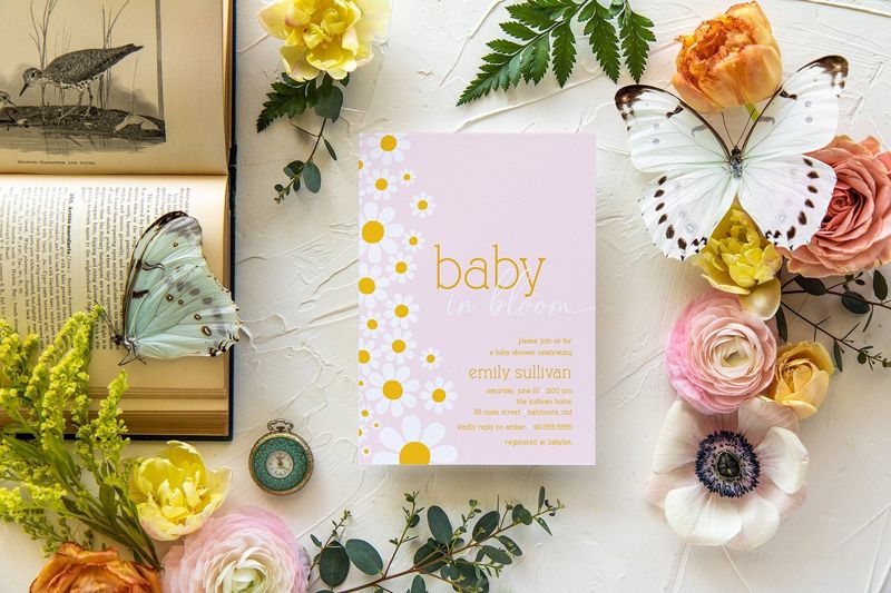 Baby in Bloom Daisy Baby Girl Shower Invitation Girl Baby Sprinkle Summer Flower Party (10 printed invitations, Plain White Envelopes)