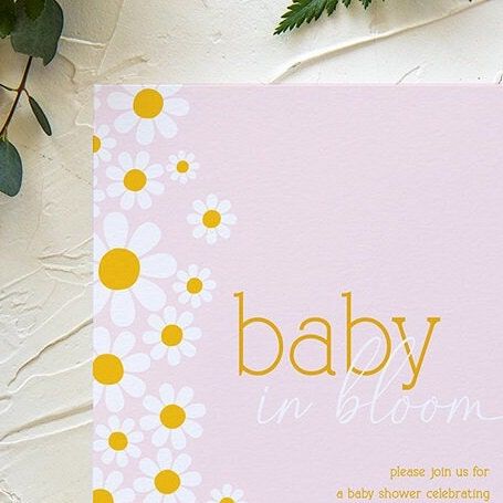 Baby in Bloom Daisy Baby Girl Shower Invitation Girl Baby Sprinkle Summer Flower Party (10 printed invitations, Plain White Envelopes)