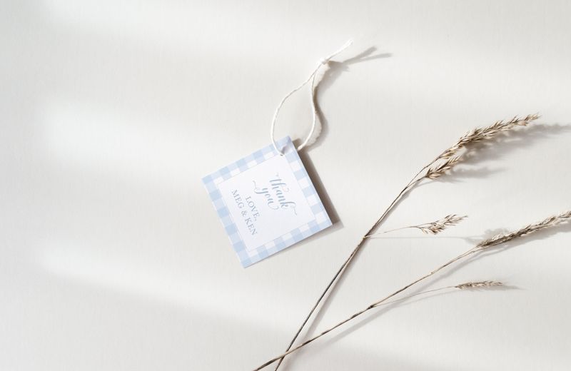 Blue Gingham Baby Shower Favor Tags (20 printed notes)