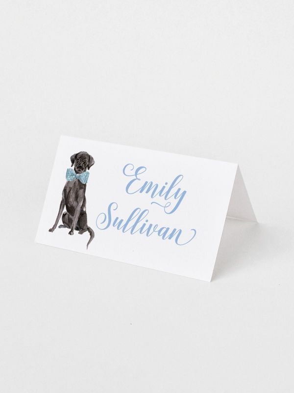 Printed Escort Cards for Baby Shower - Labrador Retriever Place Cards - Personalized Seating Cards with Dog Puppy (10 escort cards | Pink)