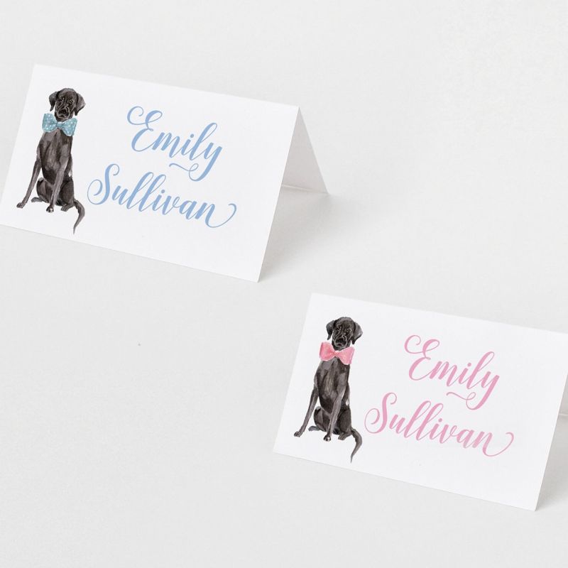 Printed Escort Cards for Baby Shower - Labrador Retriever Place Cards - Personalized Seating Cards with Dog Puppy (10 escort cards | Pink)