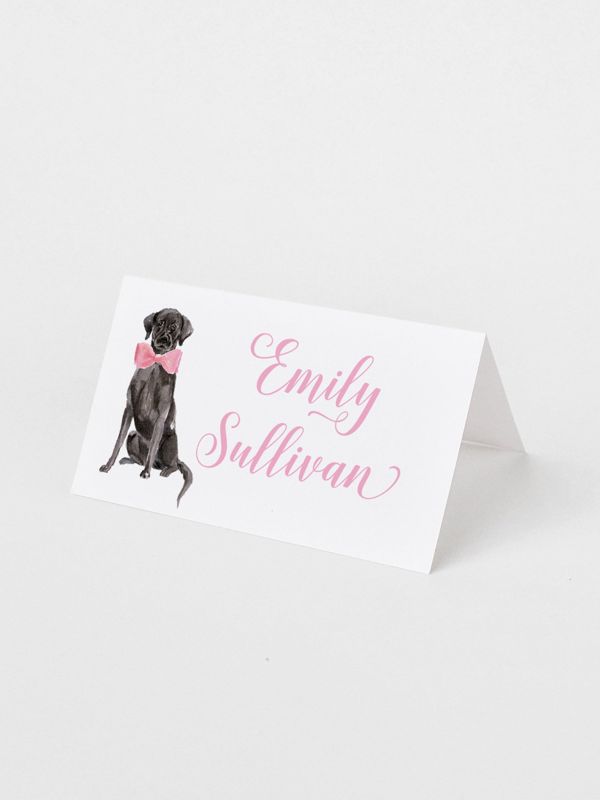 Printed Escort Cards for Baby Shower - Labrador Retriever Place Cards - Personalized Seating Cards with Dog Puppy (10 escort cards | Pink)