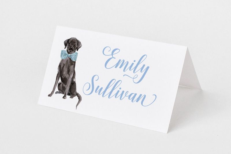 Printed Escort Cards for Baby Shower - Labrador Retriever Place Cards - Personalized Seating Cards with Dog Puppy (10 escort cards | Pink)