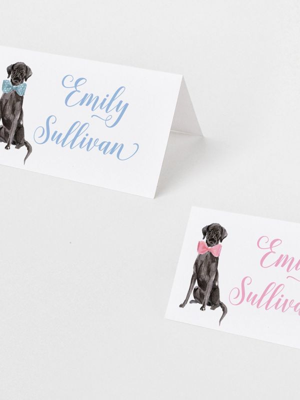 Printed Escort Cards for Baby Shower - Labrador Retriever Place Cards - Personalized Seating Cards with Dog Puppy (10 escort cards | Pink)