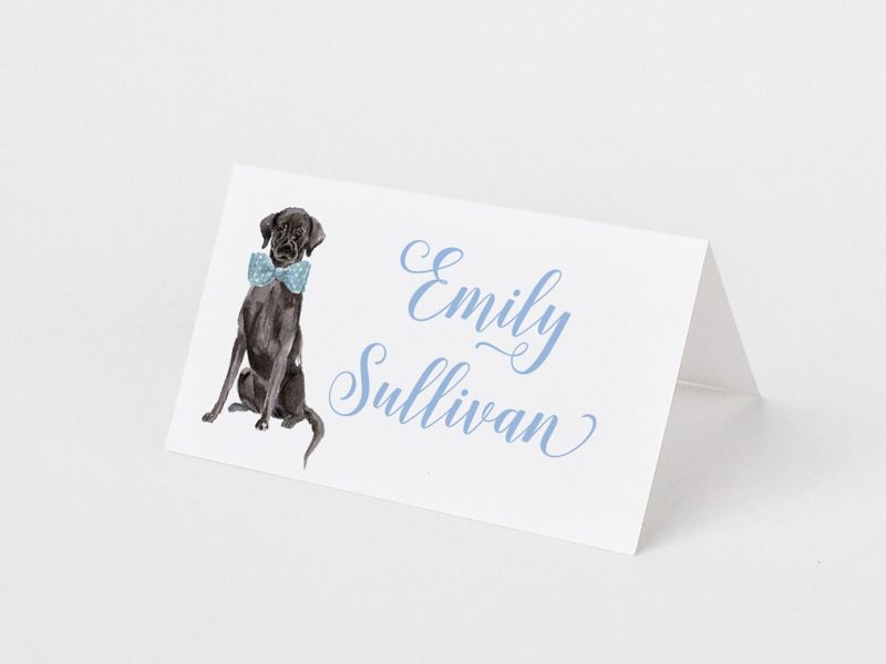 Printed Escort Cards for Baby Shower - Labrador Retriever Place Cards - Personalized Seating Cards with Dog Puppy (10 escort cards | Pink)