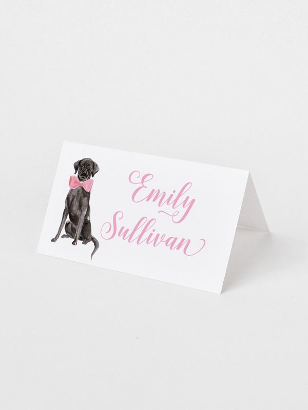 Printed Escort Cards for Baby Shower - Labrador Retriever Place Cards - Personalized Seating Cards with Dog Puppy (10 escort cards | Pink)