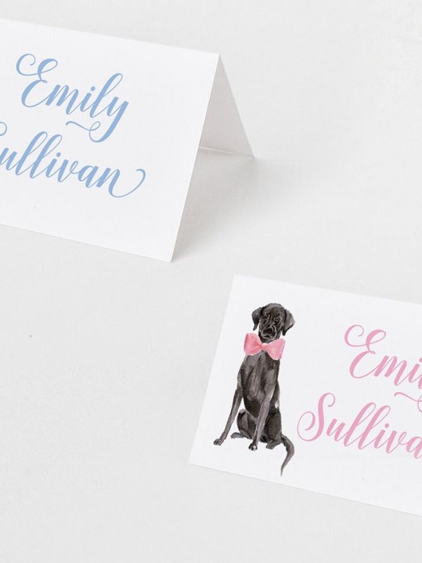 Printed Escort Cards for Baby Shower - Labrador Retriever Place Cards - Personalized Seating Cards with Dog Puppy (10 escort cards | Pink)