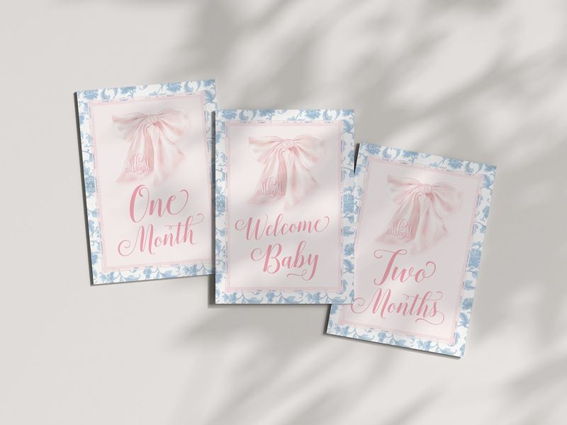 Baby Girl Milestone Cards Printed - Baby Gift - New Mom - Baby Shower Gift Ideas - Baby Month Cards - Keepsake Memories - Pink Heirloom Bow
